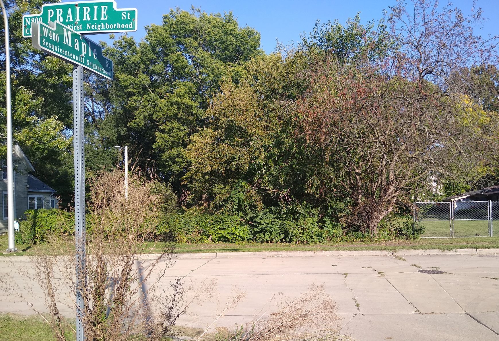 Maple Street